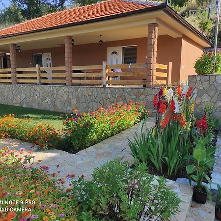 Vila Vera Borsko Jezero ภายนอก รูปภาพ