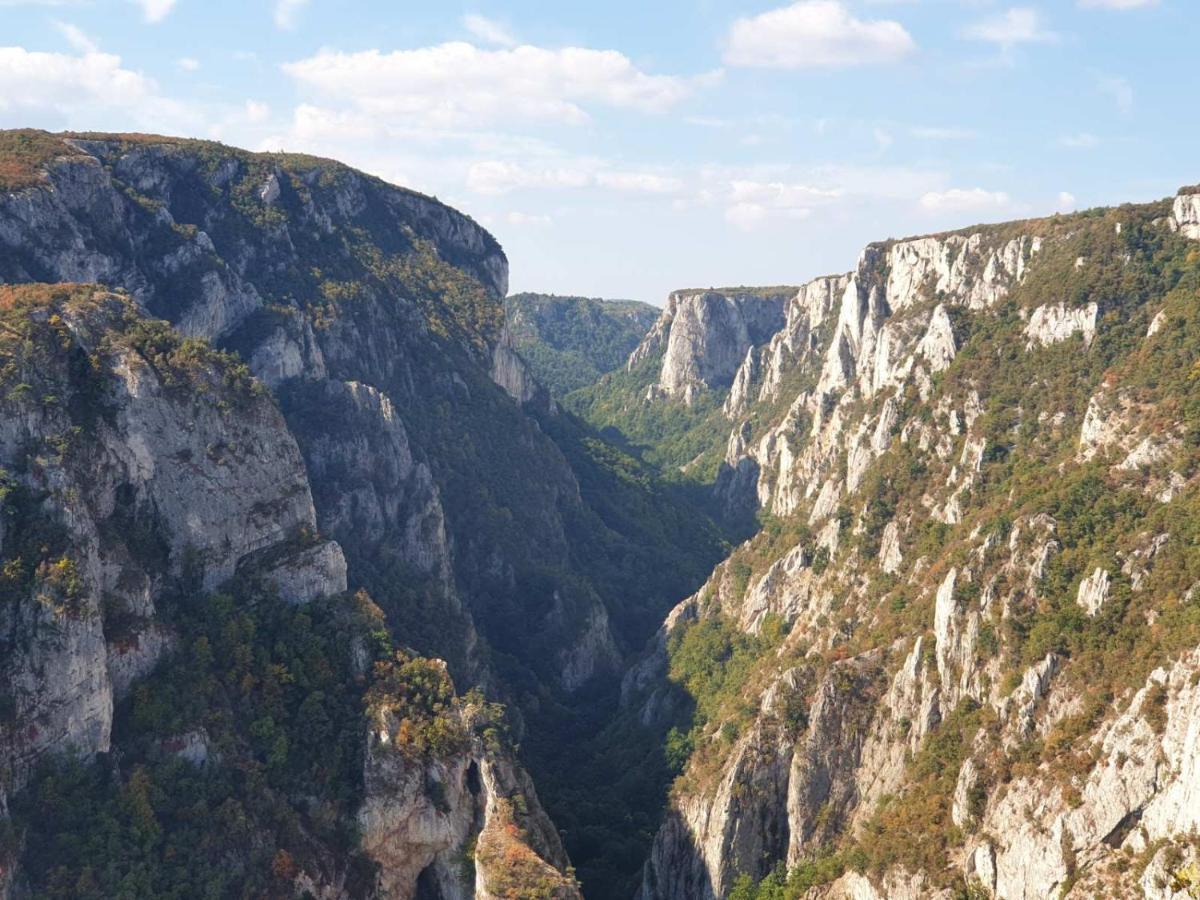 Vila Vera Borsko Jezero ภายนอก รูปภาพ