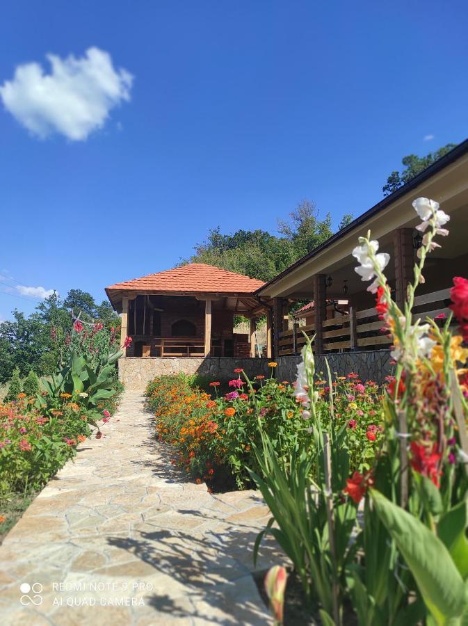 Vila Vera Borsko Jezero ภายนอก รูปภาพ